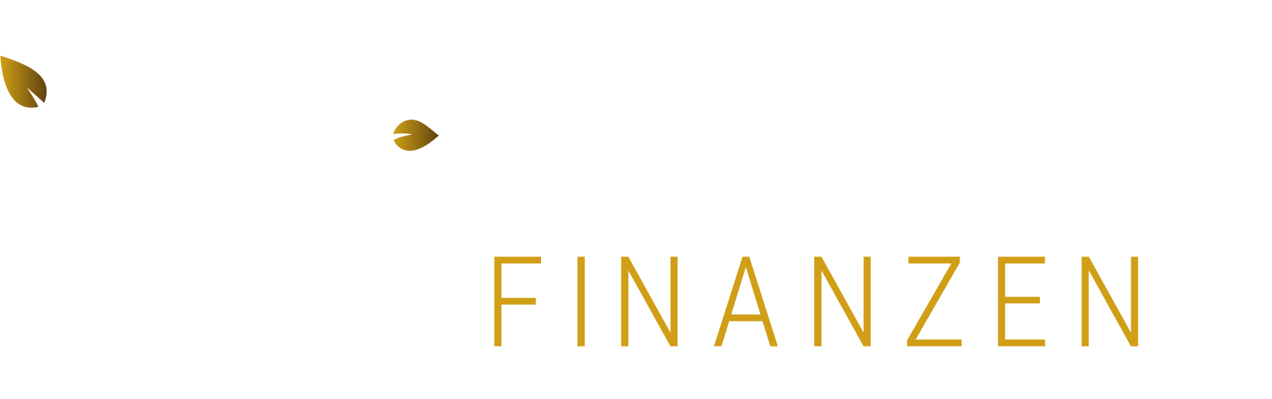 Nestbau Finanzen